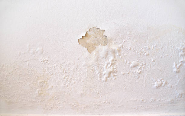 Top Five Tips to Help Tackle ……DAMP